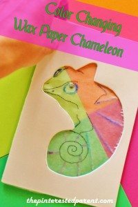 Coloer Changing Wax Paper Chameleon with Free Traceable