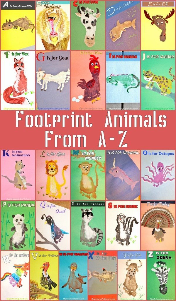 Footprint Animals From A-Z