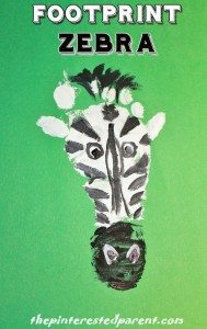 Footprint Zebra - animal footprints A - Z - Z is for zebra