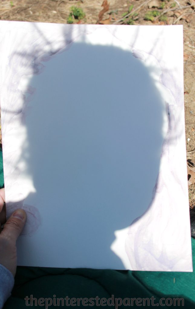 Painting shadows with watercolors - this is a wonderful art project that you can do with your kids while exploring shadow & light and nature