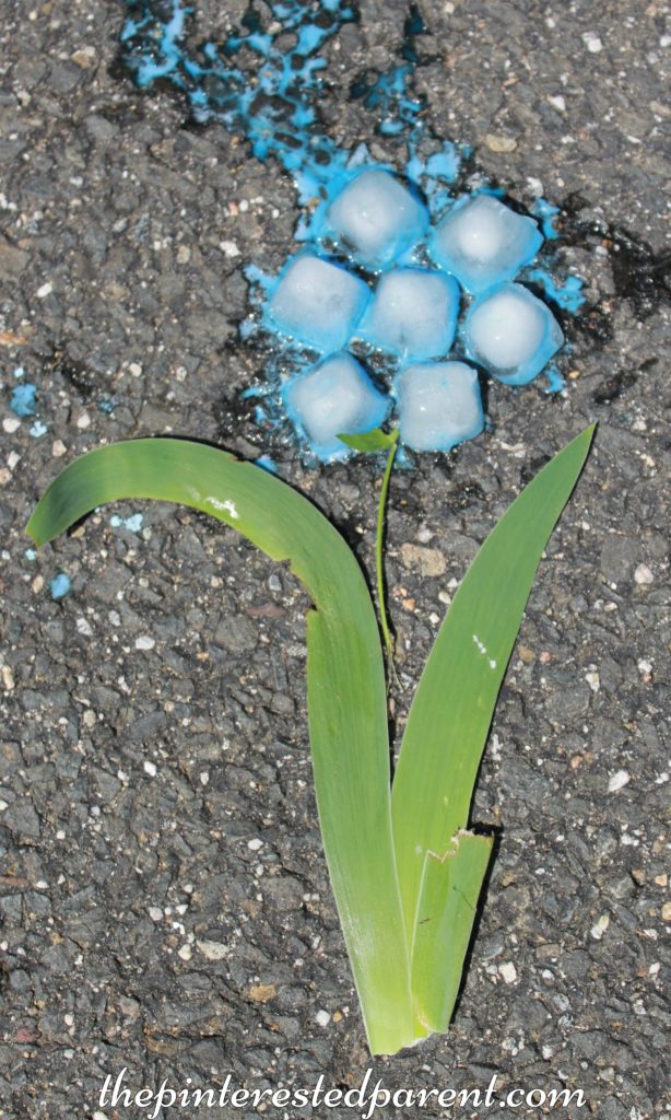 Painting ice is perfect fot a hot summer's day - painted ice flower kid's arts & crafts