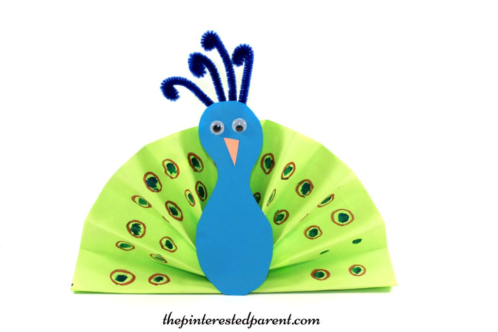Folded construction paper fan peacock - arts & crafts for kids
