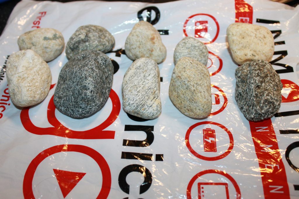 Painted Rock Family – The Pinterested Parent