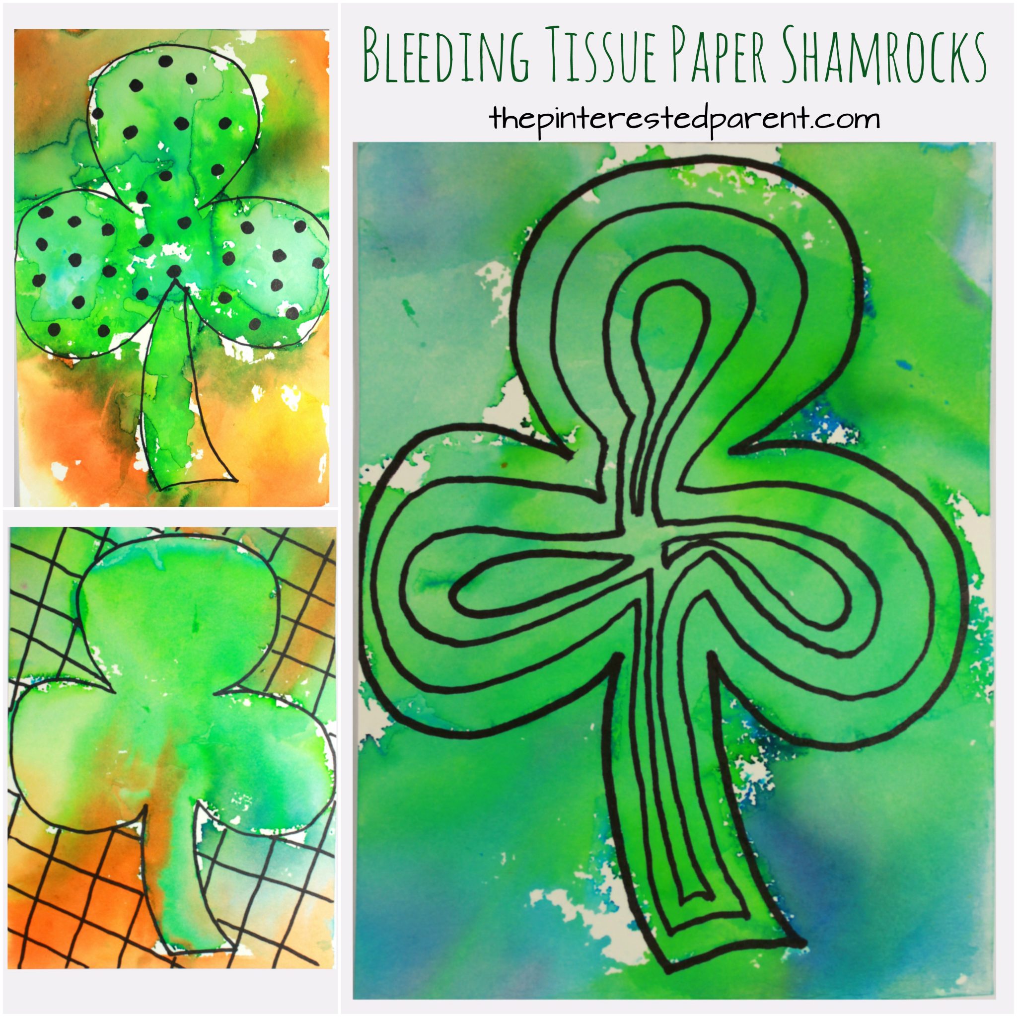 Bleeding tissue paper shamrocks for St. Patrick's Day. Easy arts and crafts art ideas and painting for preschoolers and kids.