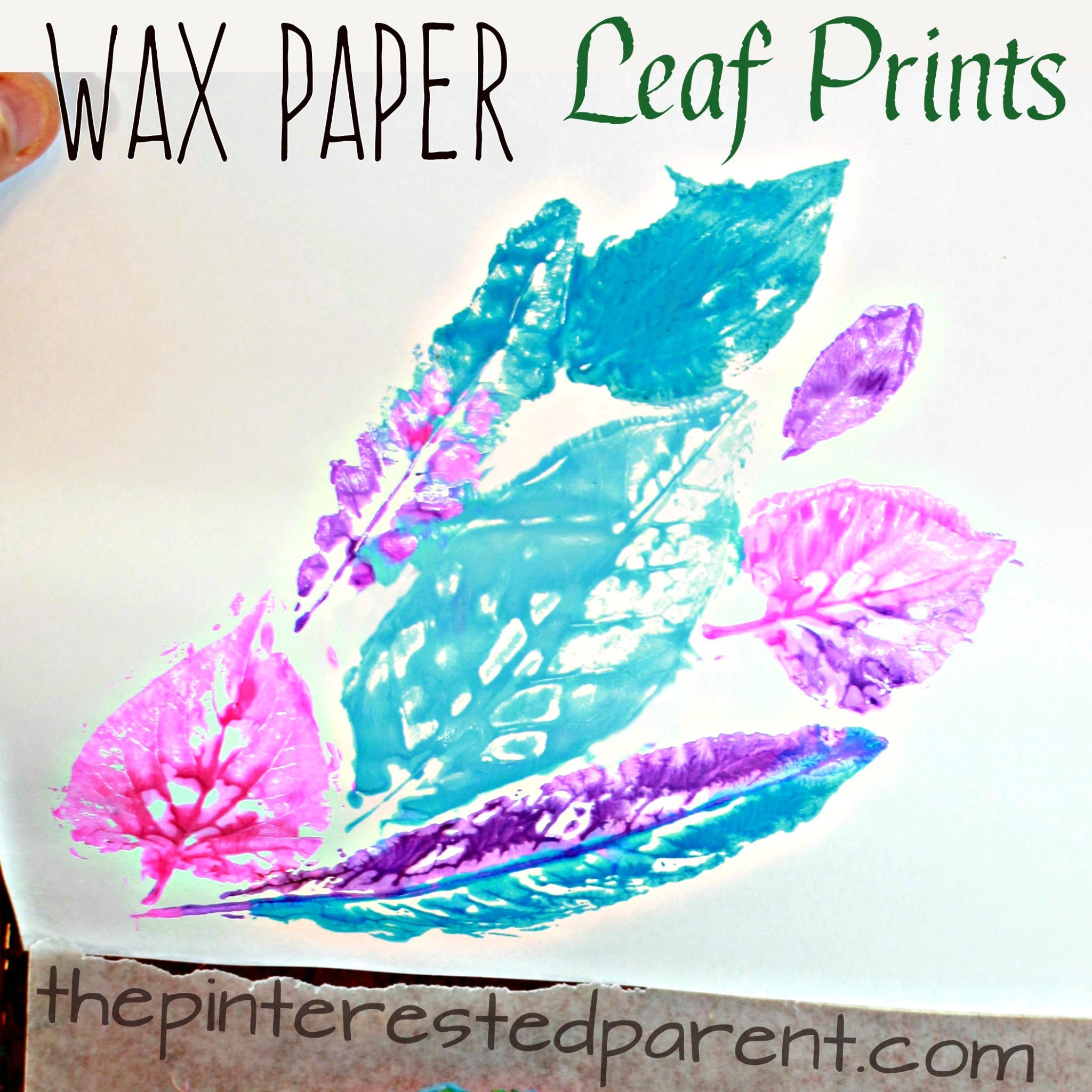 Leaf Nature prints on wax paper - printmaking ideas for kids. spring & summer arts & crafts projects