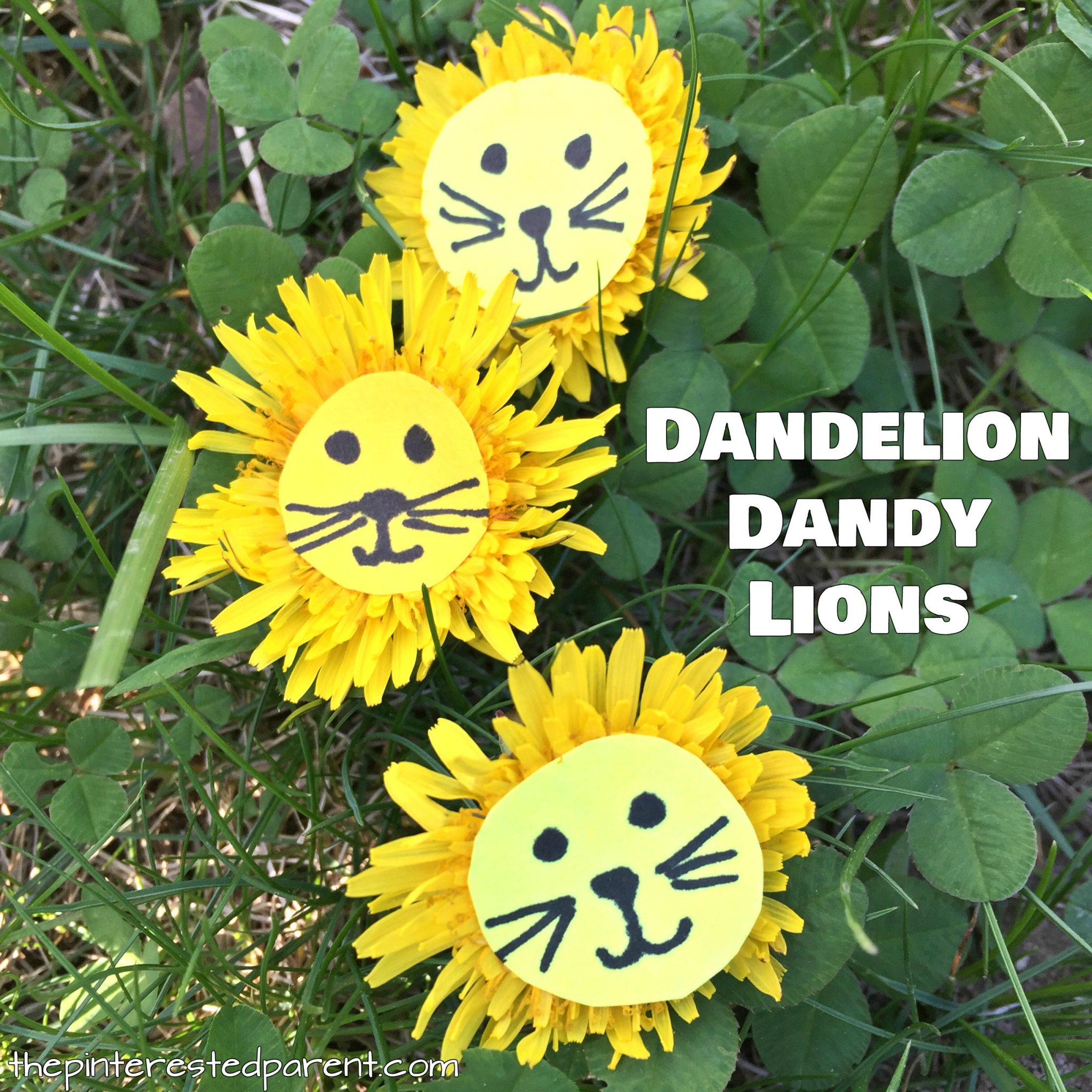 Dandelion Lions - Easy nature arts and crafts for kids. Flower craft ideas for the spring and summer