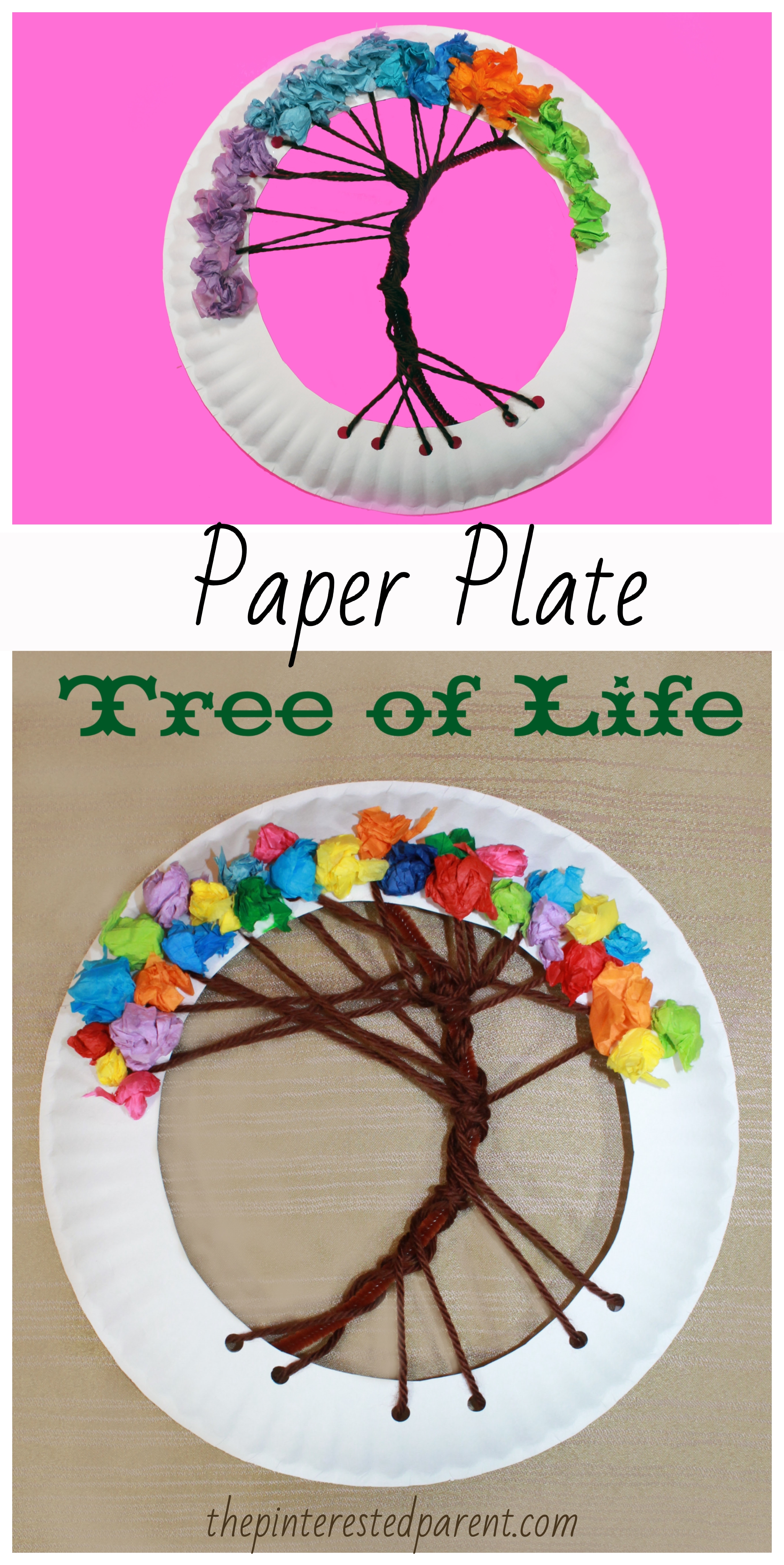 Paper Plate Tree of Life Lacing Craft. Arts and crafts for kids. Yarn and tissue paper